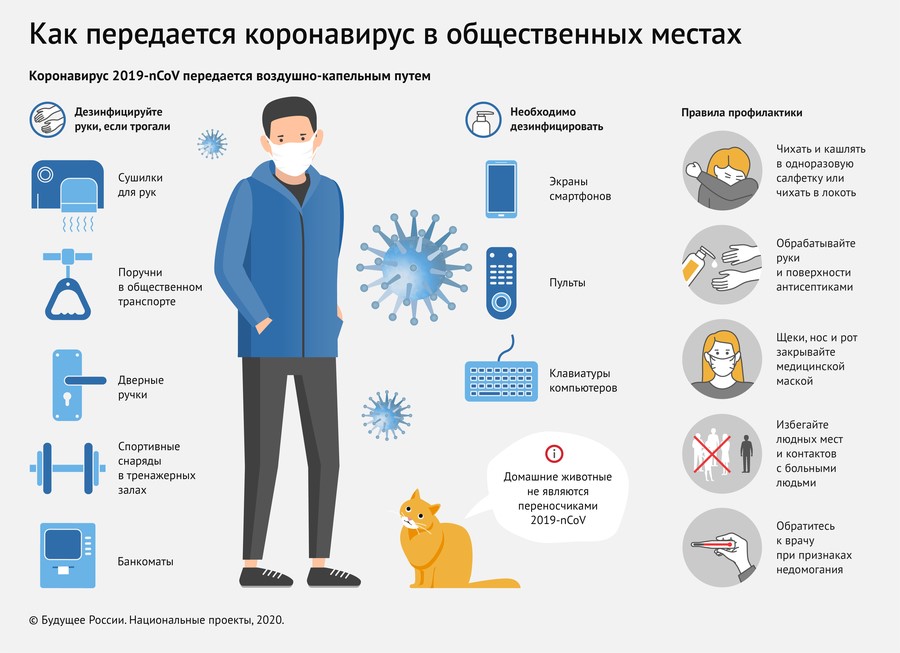 длорпавывапро