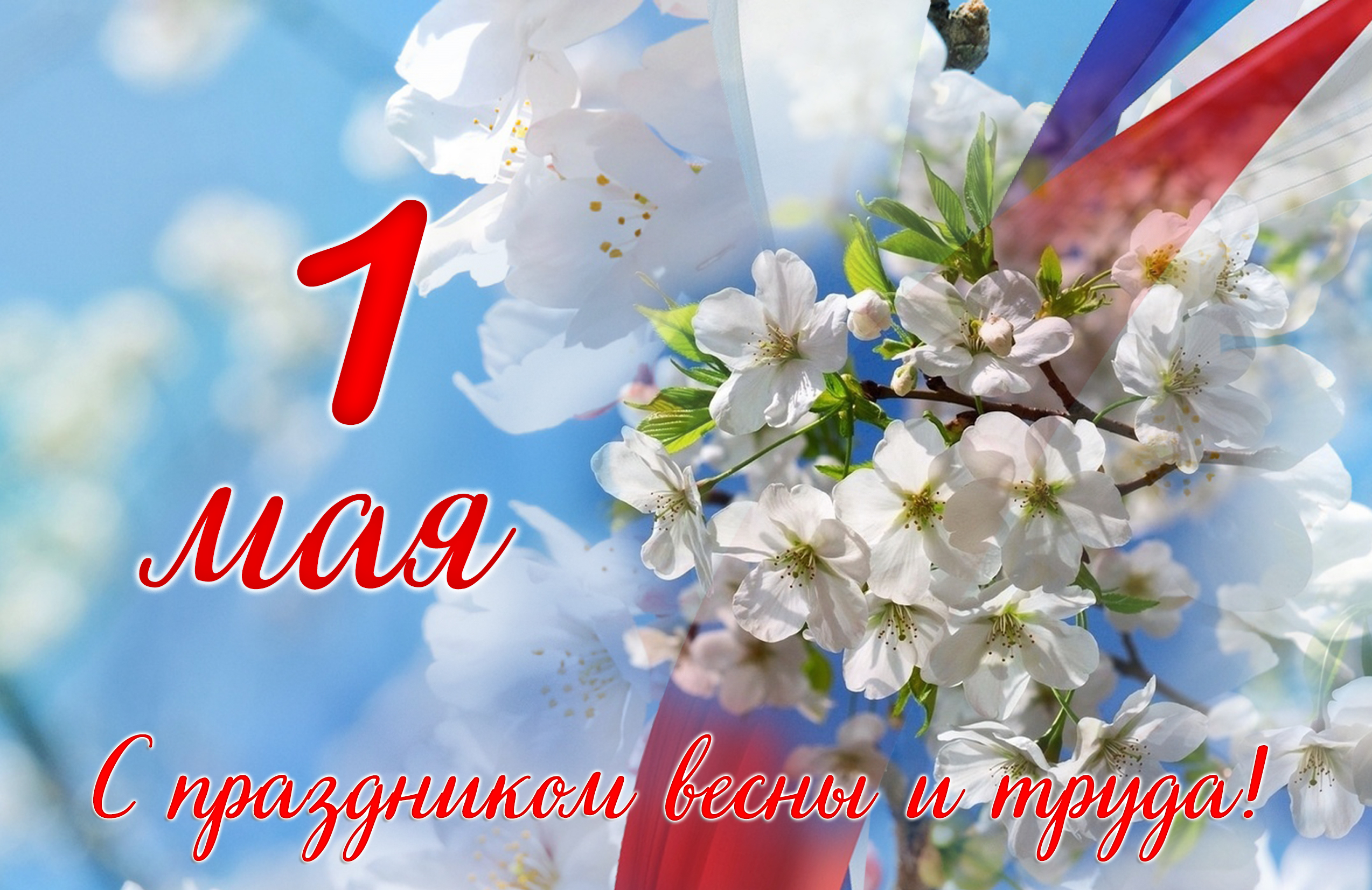 вк 1